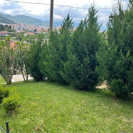 View * Lezhë