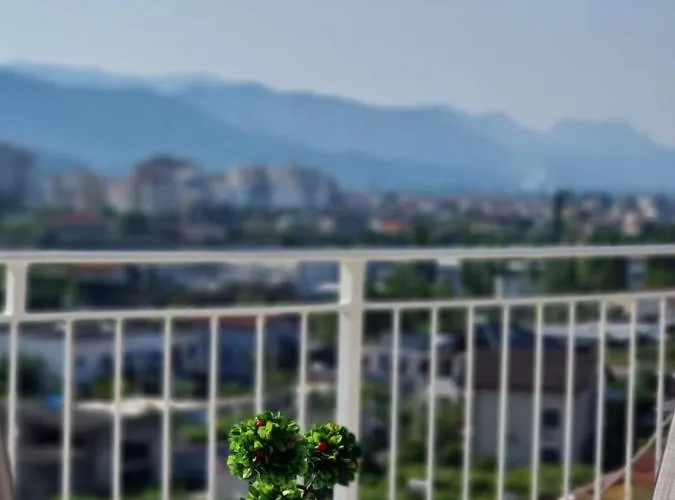 View *